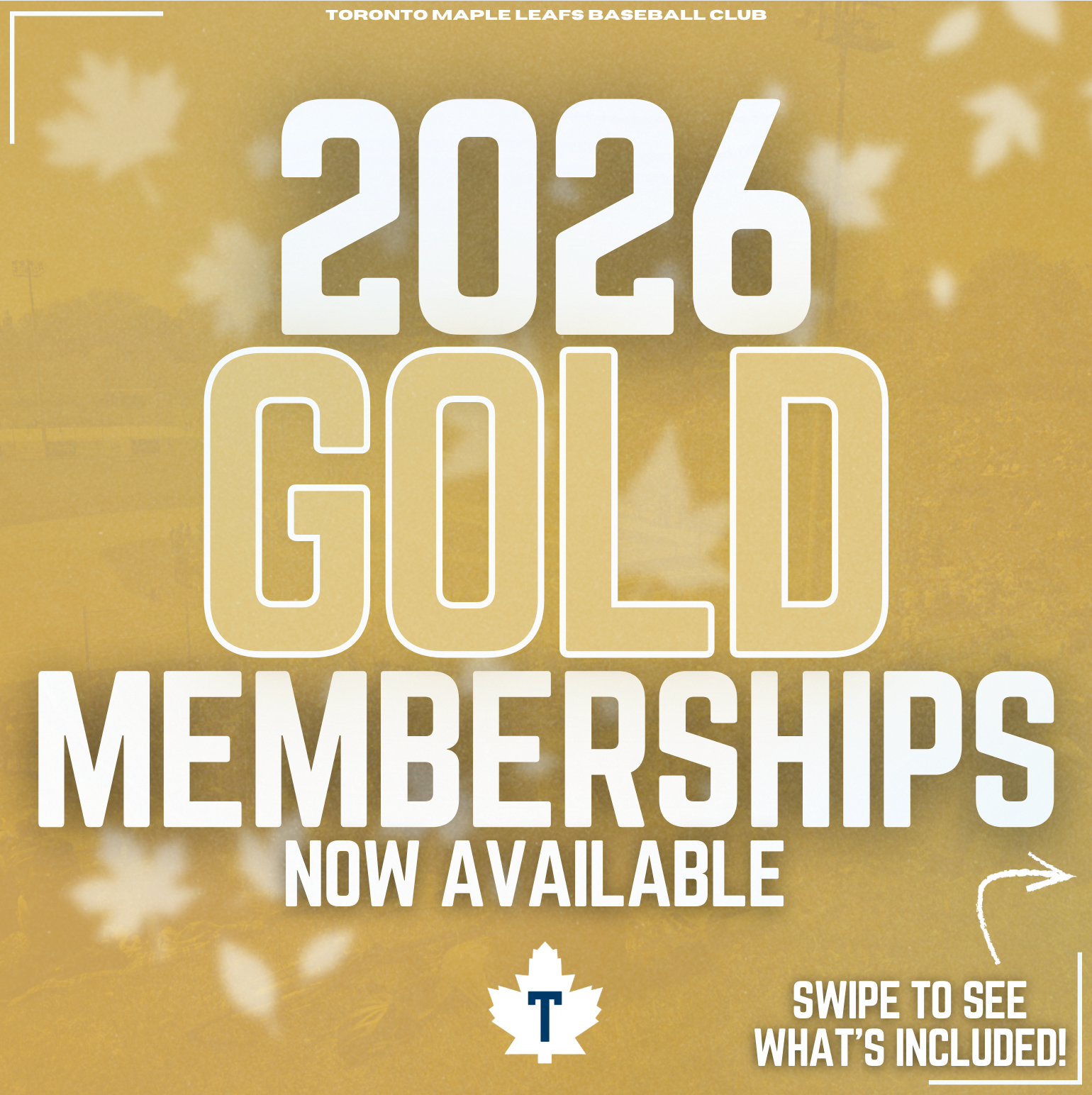 2026 Gold Membership